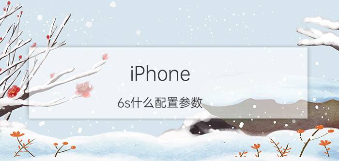 iPhone 6s什么配置参数？iPhone 6s标配有什么？